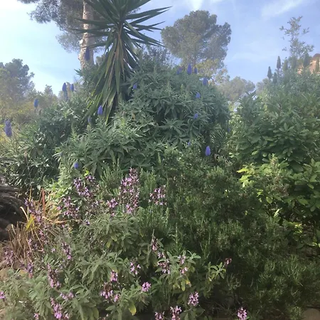 Mer-et-foret Le Pradet