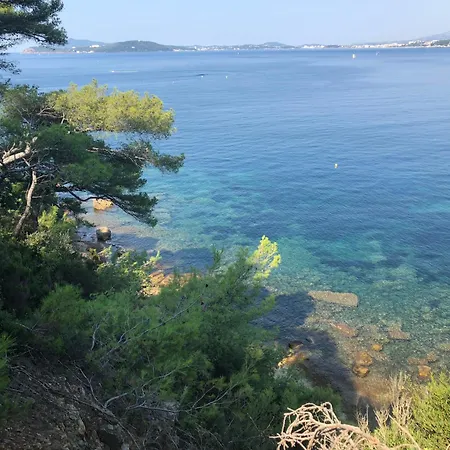 Mer-et-foret